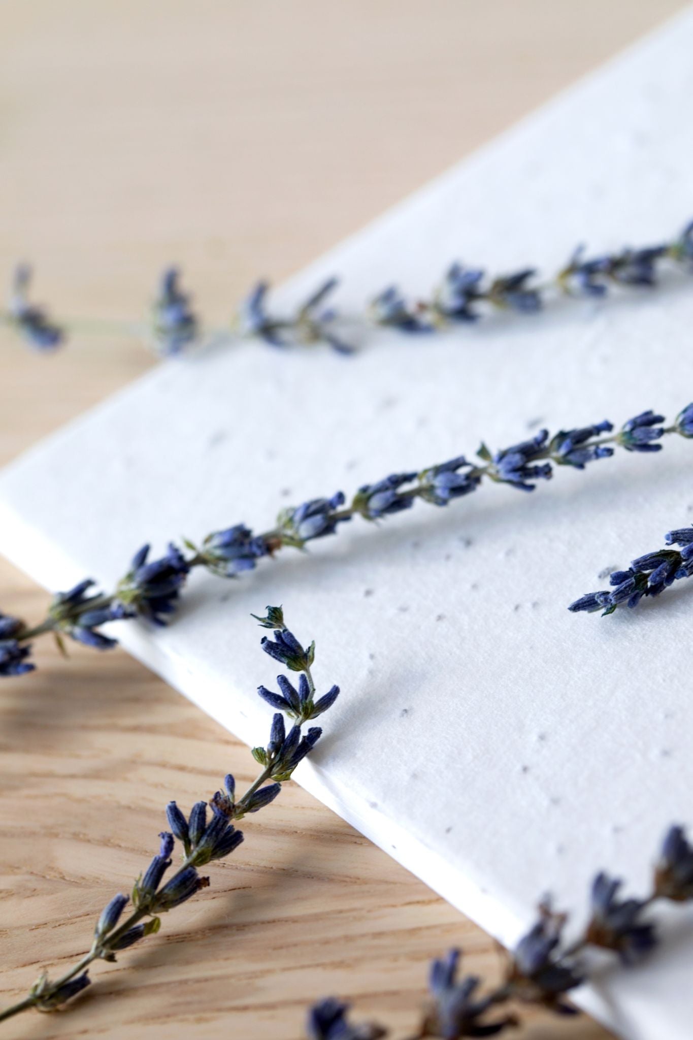 A4 Lavender Seed Paper